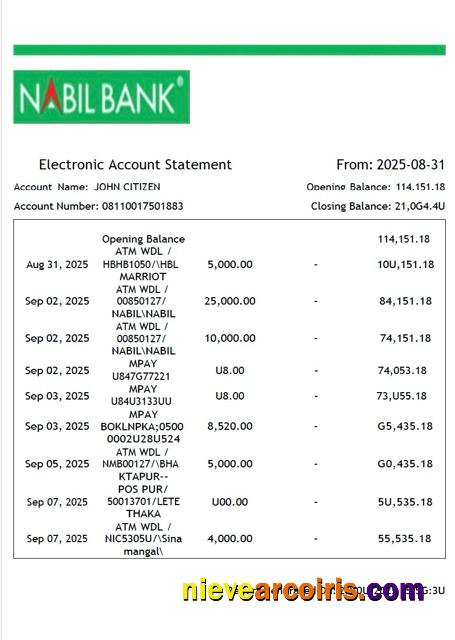 Nepal Nabil Bank electronic account statement Word and PDF